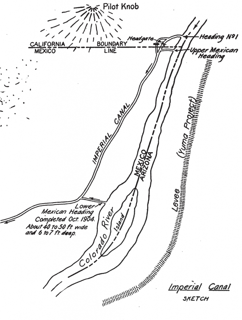 Life of the Salton Sea -