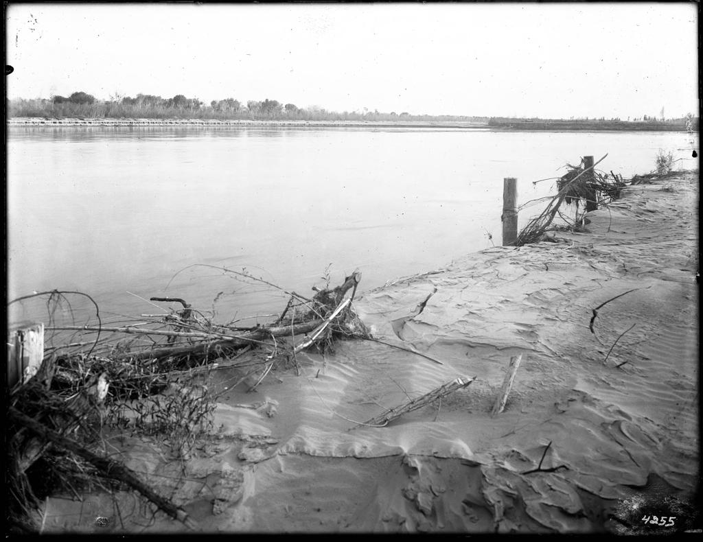 Life of the Salton Sea - 